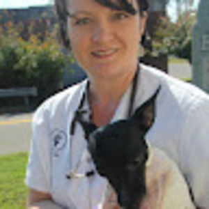 Meet your Posher, Christy